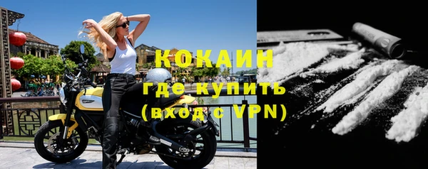 дживик Бронницы